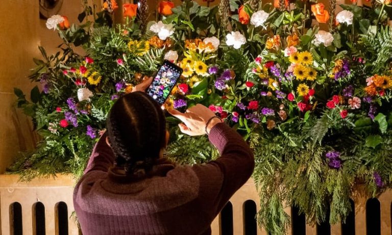 Aplicativo para descobrir nomes de planta com facilidade