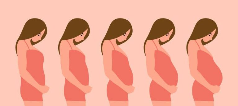 Aplicativo para Acompanhar o Ultrassom do Seu Bebê pelo Celular